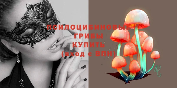гашик Няндома