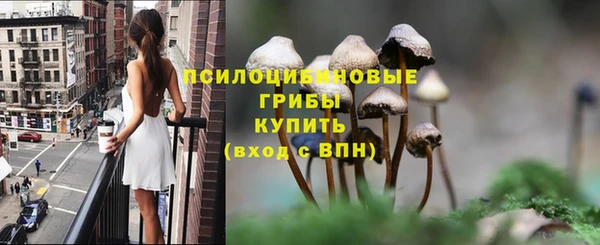 спиды Новокубанск